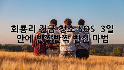 회룡리 긴급 청소 SOS! 🚨 3일 안에 ✨반짝반짝✨ 변신 마법 ✨