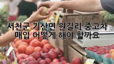 서천군 기산면 원길리 중고차 매입, 어떻게 해야 할까요?