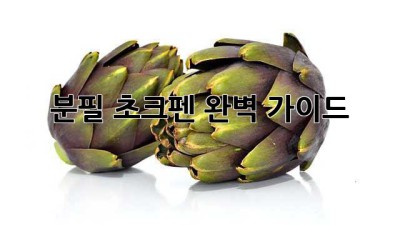 분필 초크펜: 완벽 가이드